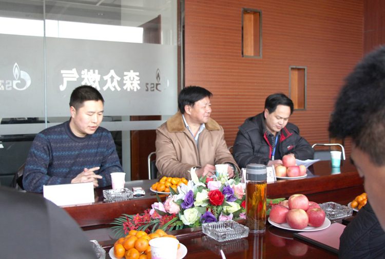 林口县政府与GALAXY·银河-银河(国际)一站式服务官方网站燃气项目洽谈.png